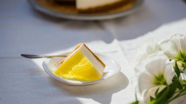 plating-instructions-image
